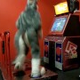 A Dude In A Fursuit. Dancing. For Charity.